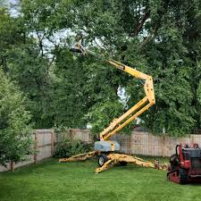 Creedmoor, NC Tree Services Company